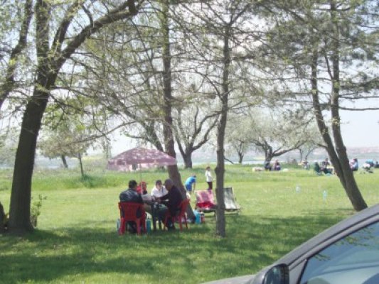 ENEL solicită un petic de spaţiu verde în Mamaia. Vrea să furnizeze curent unui imobil